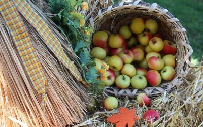 Comment fabriquer un cueille-fruits ?