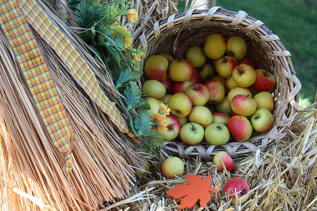 Comment fabriquer un cueille-fruits ?