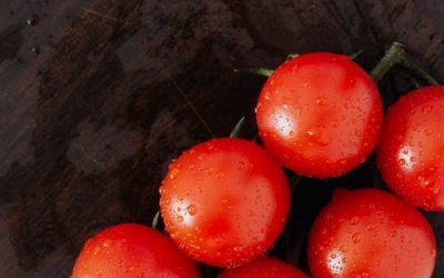 Tout savoir sur le traitement de la tomate a base de bouillie bordelaise