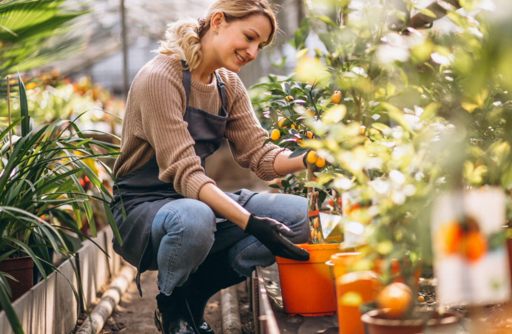 Top 9 des outils indispensables pour jardiner