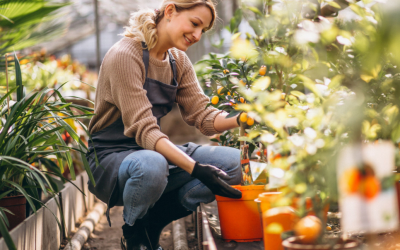 Top 9 des outils indispensables pour jardiner