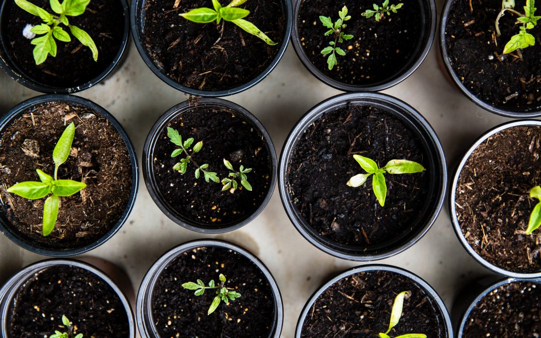 Décorez facilement votre jardin
