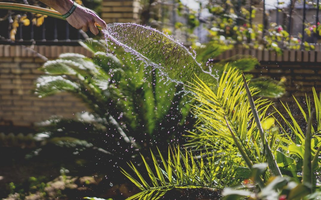 Comment faire pousser un jardin en terrasse ?