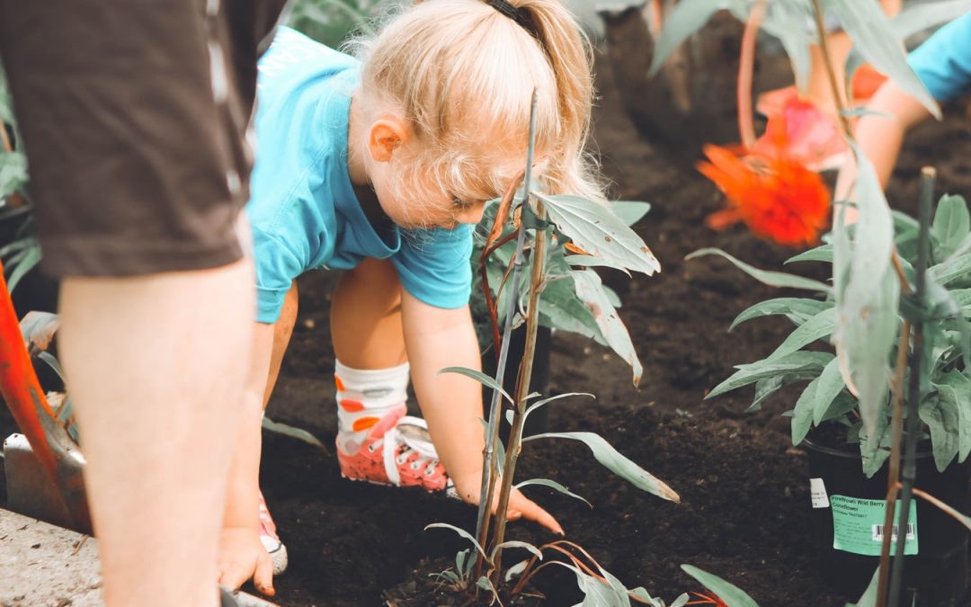 Quels sont les problèmes rencontrés dans le jardinage en terrasse ?